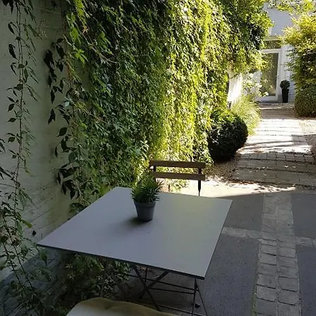 洛奇街床和早餐